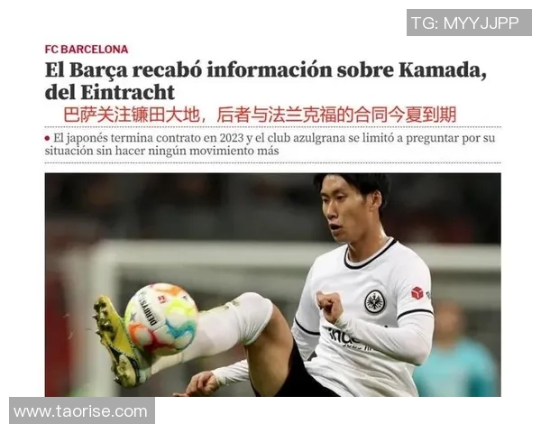 足球球星转会费计算方式解析及其影响因素详解